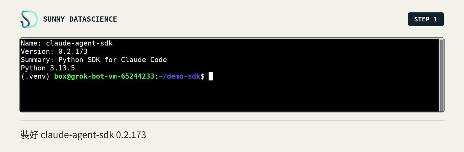 終端機顯示 pip show 的結果：Name claude-agent-sdk、Version 0.2.173、Summary Python SDK for Claude Code，下面是 Python 3.13.5