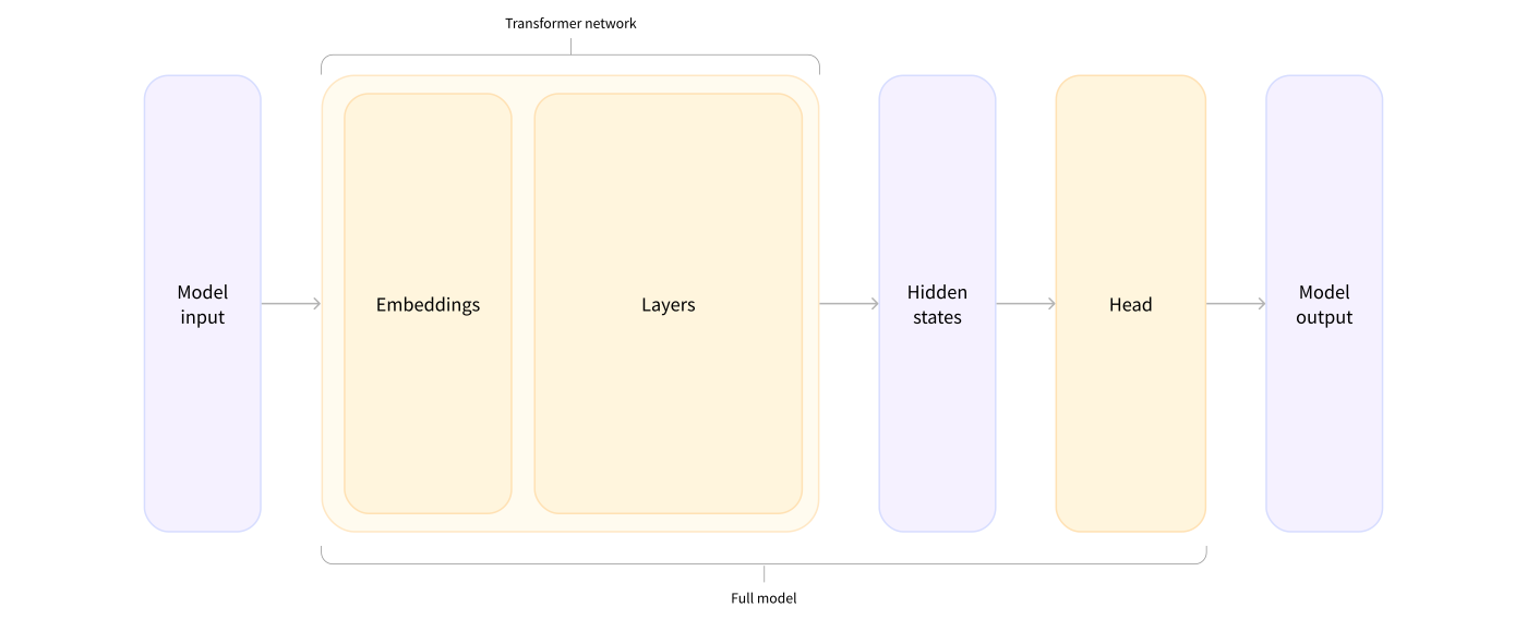 通用 Transformer hidden states 與任務 head 的分工