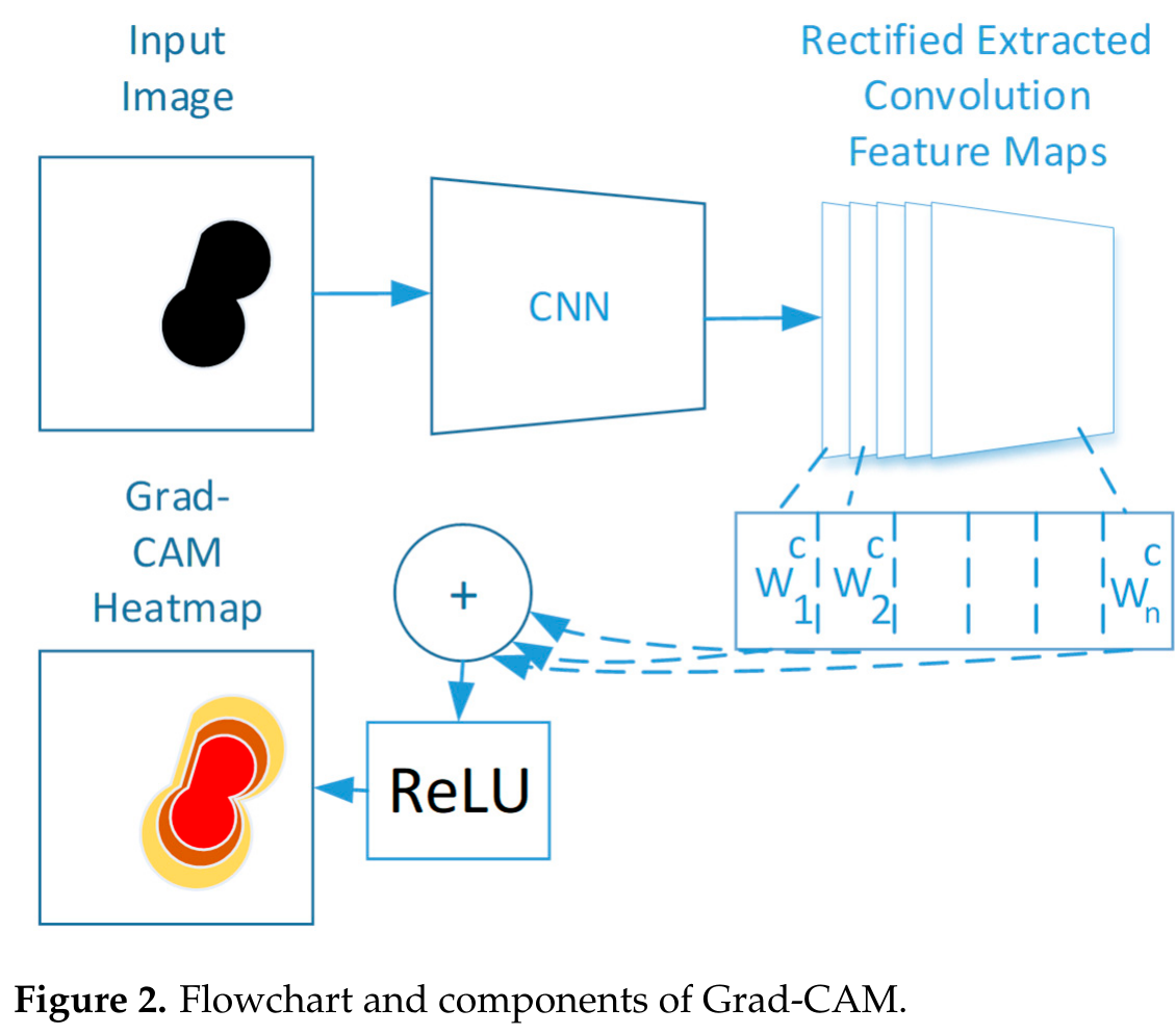 GradCAM將所選類別的梯度資訊化成通道權重並組合特徵圖後取ReLU